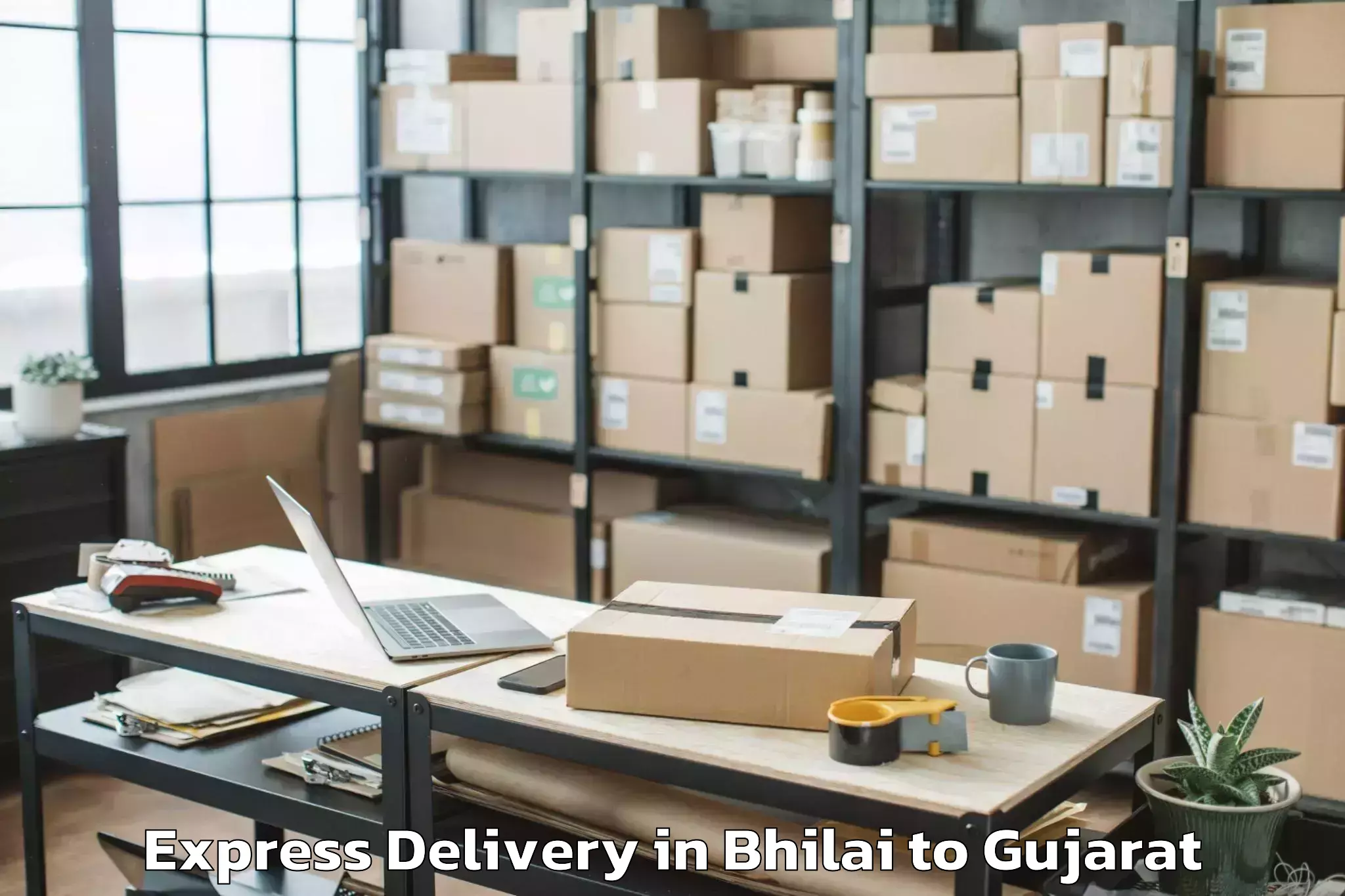 Expert Bhilai to Sardar Patel University Vallab Express Delivery